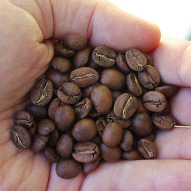 How to use a Chemex - Tonx coffee beans | Cool Mom Picks How to use a Chemex - Tonx coffee beans | Cool Mom Picks