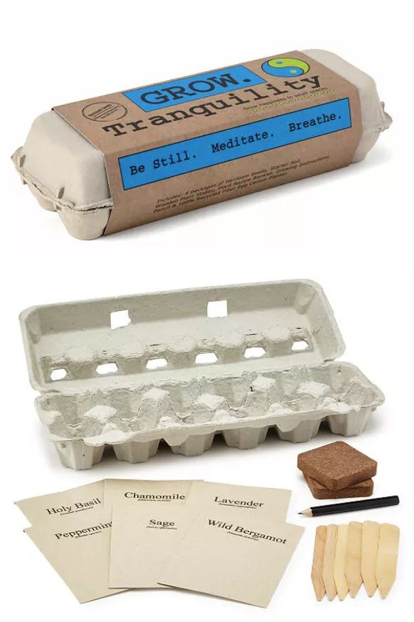 Balance and Tranquility Seed Grow Kit (Uncommon Goods)