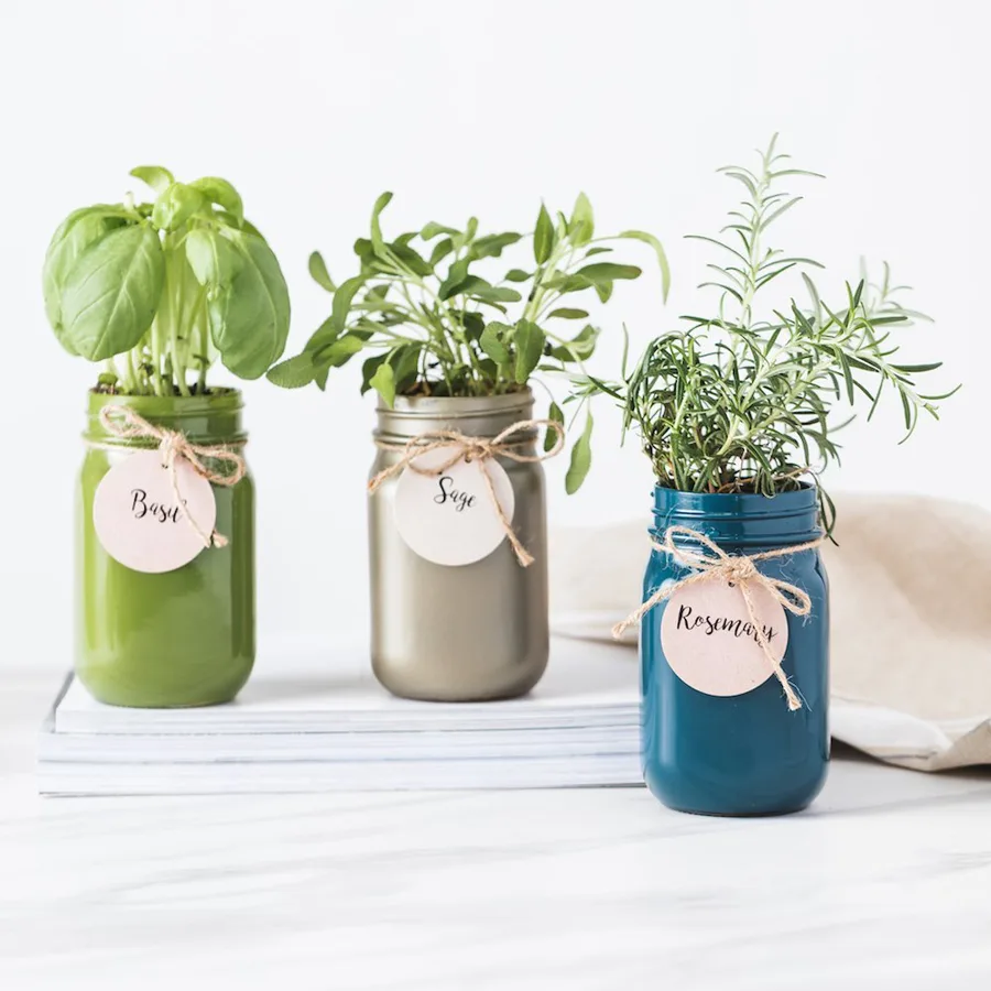 Mother's Day Bouquet Alternatives: Bulb Garden