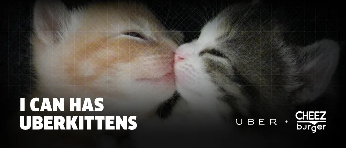 You can haz kittens and cupcakes on National Cat Day