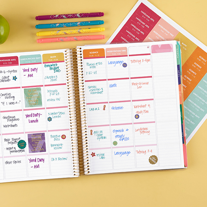 Erin Condren Teacher Lesson Planner