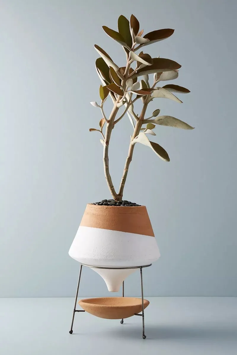 The best indoor planters to zhuzh up your living areas: This dipped terracotta planter at Anthropologie