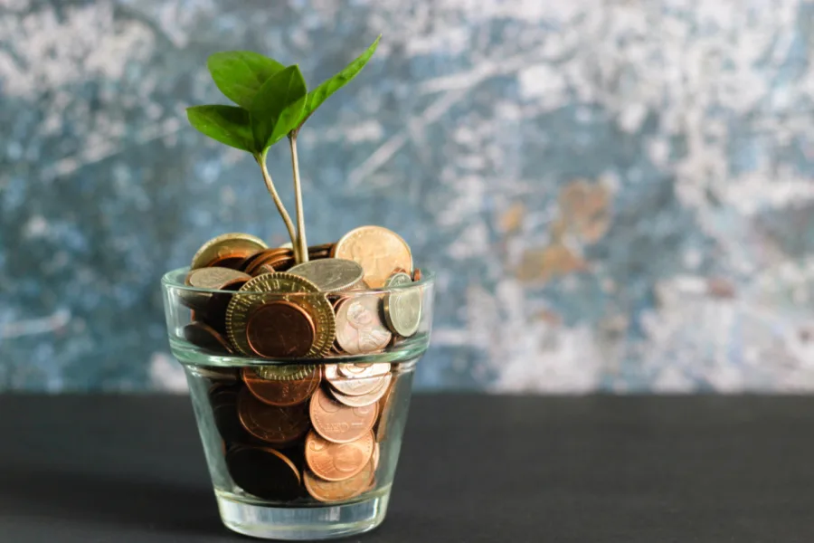 5 simple tips to help you save money