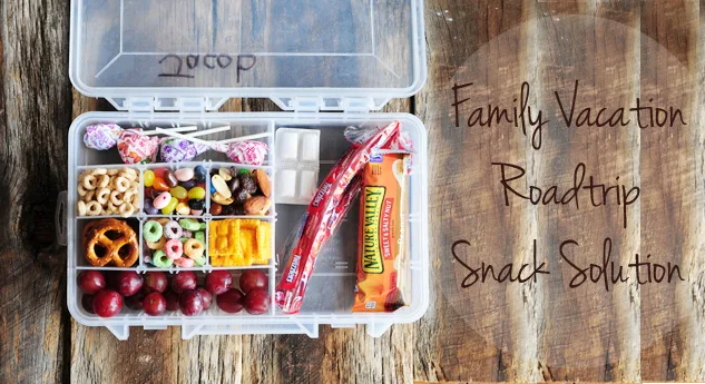 5 brilliant DIY travel snack ideas for kids that will save the day.