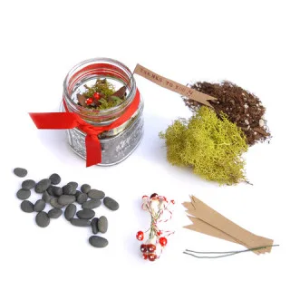 A unique party favor for a forest of one's own - The terrarium kit