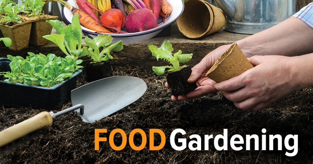 Join our The Great Courses Plus Food Gardening Course | The We Time Project | sponsored Join our The Great Courses Plus Food Gardening Course | The We Time Project | sponsored