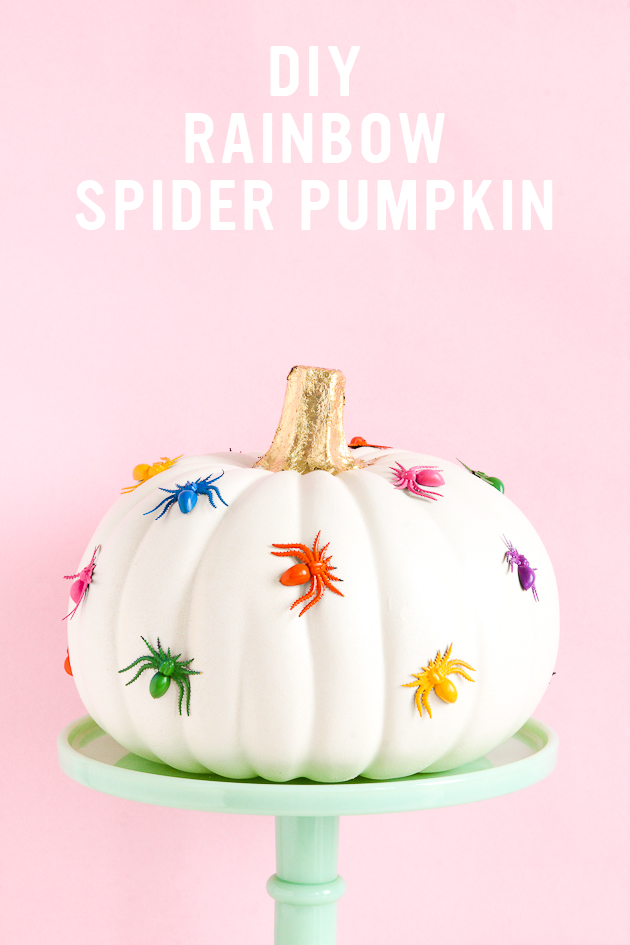 No-carve pumpkins for Halloween: DIY rainbow spider pumpkin | A Bubbly Life No-carve pumpkins for Halloween: DIY rainbow spider pumpkin | A Bubbly Life