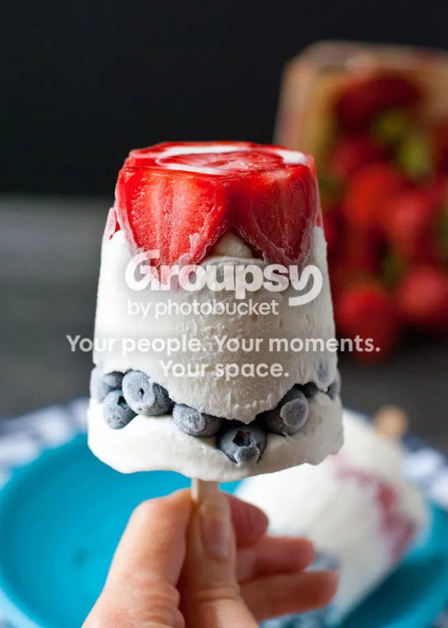 No-Drip Popsicle Holders (Set)