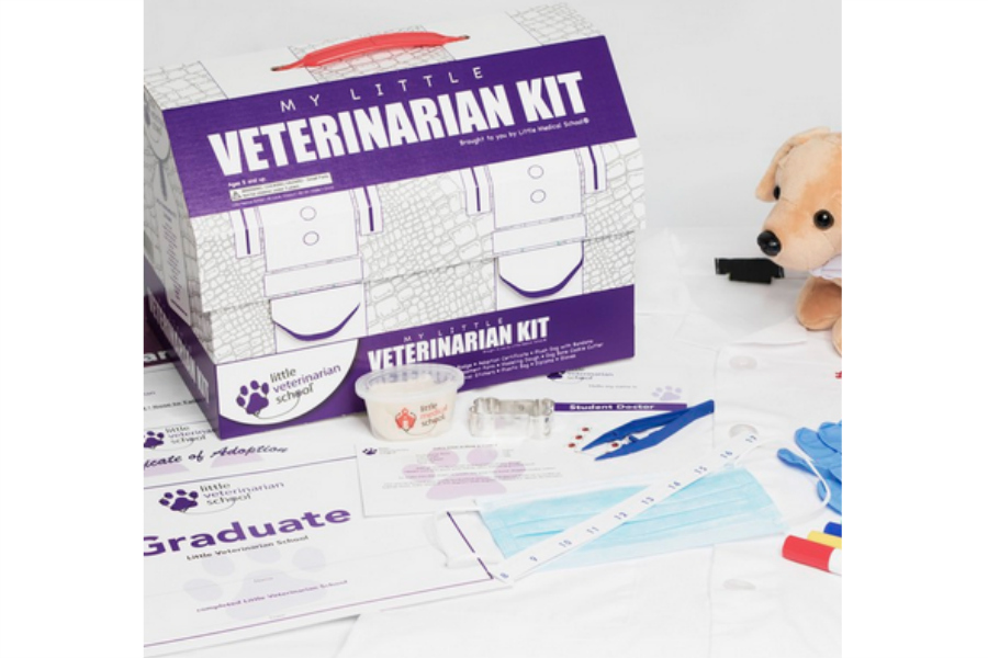 Little Medical School Mini Medical Kit