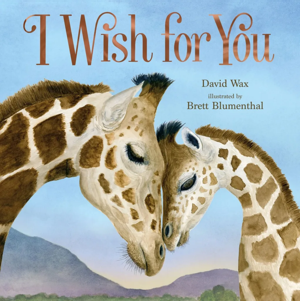 I Wish for You — David Wax & Brett Blumenthal