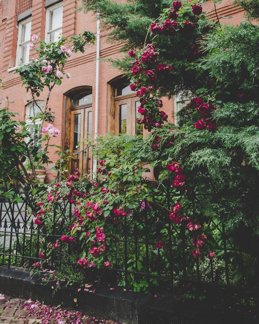 Tips for moving with kids -- and keeping your sanity while you do it!