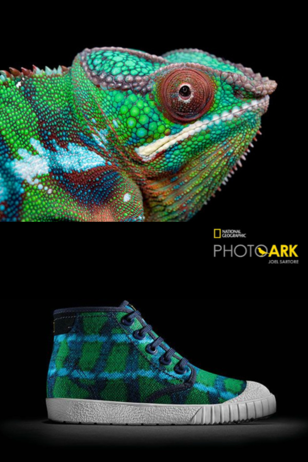 Clarks Kids x National Geographic sneakers inspired by the chameleon | Cool Mom Picks