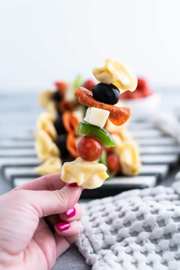Pasta Salad on a Stick Kit (recipe + skewers suggestion)