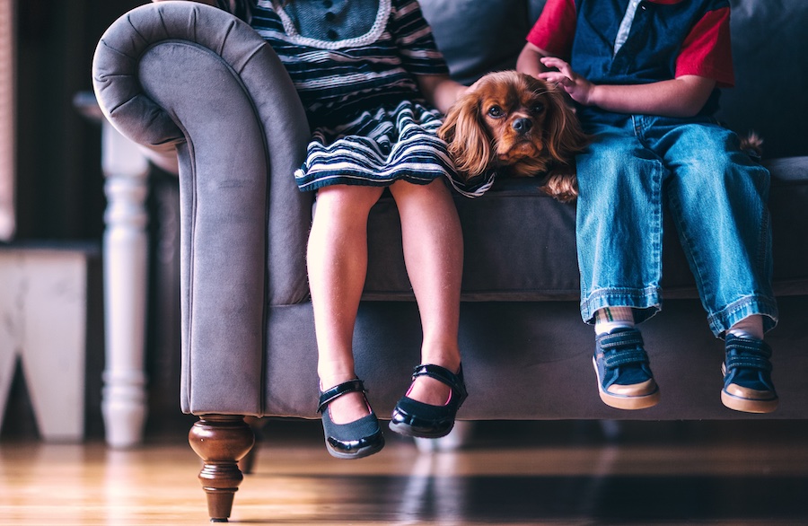 Lice myths parents should know: Do you have to have all your furniture cleaned? | mompicksprod.wpengine.com Lice myths parents should know: Do you have to have all your furniture cleaned? | mompicksprod.wpengine.com