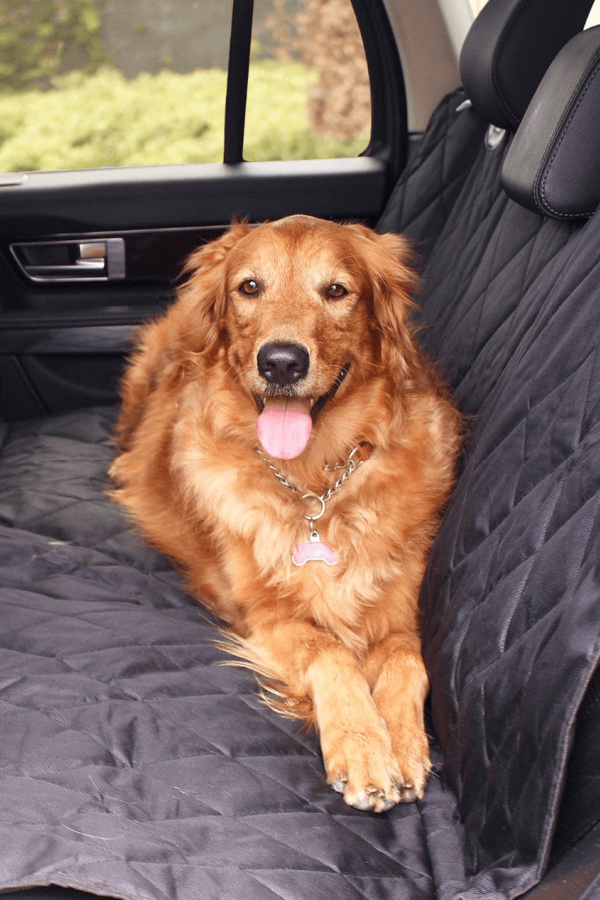 Pet essentials for summer: PupProtector Back Seat Car Cover