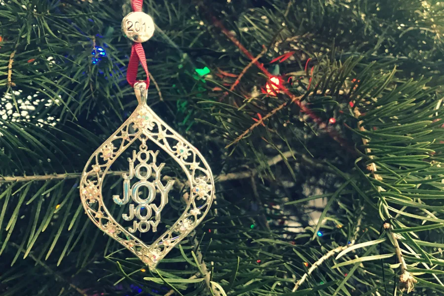 10 cool holiday gifts for the whole family under $25