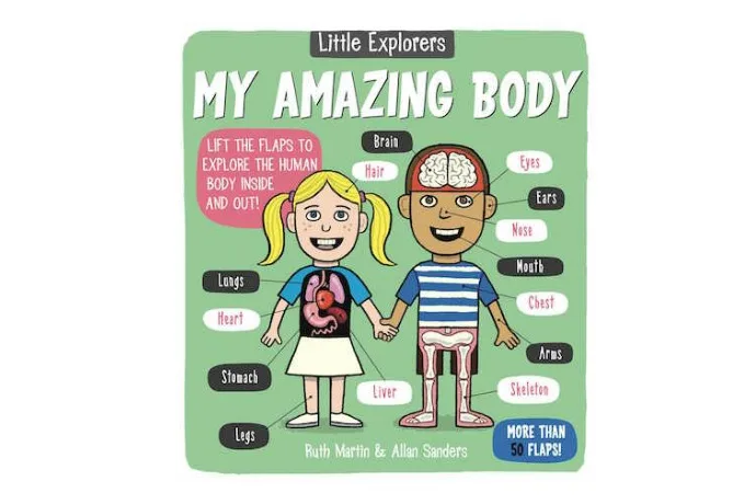 My Amazing Body by Ruth Martin and Allen Sanders