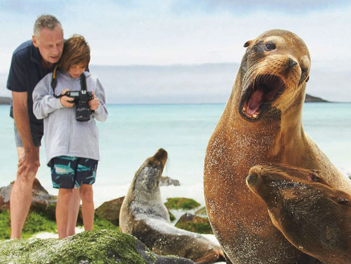 Holiday gift: family adventure | Cool Mom Picks Holiday gift: family adventure | Cool Mom Picks