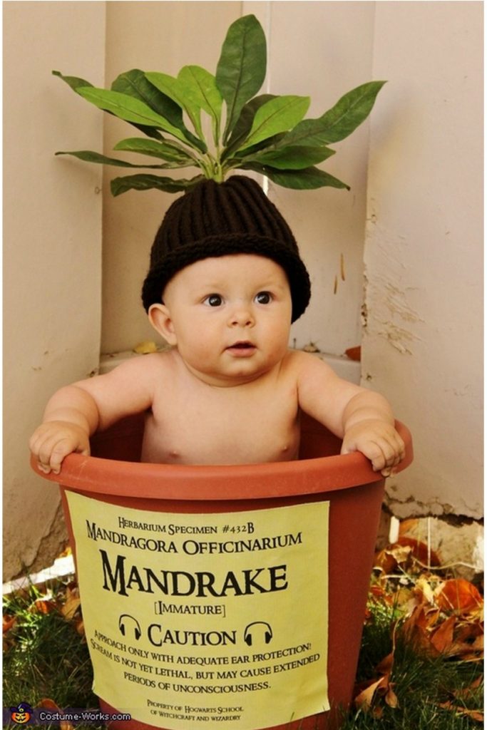 Baby Mandrake Costume (no-sew, printable template)