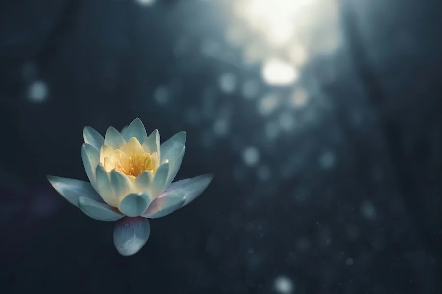 Mindful meditation tips from Nebula: Sponsored message