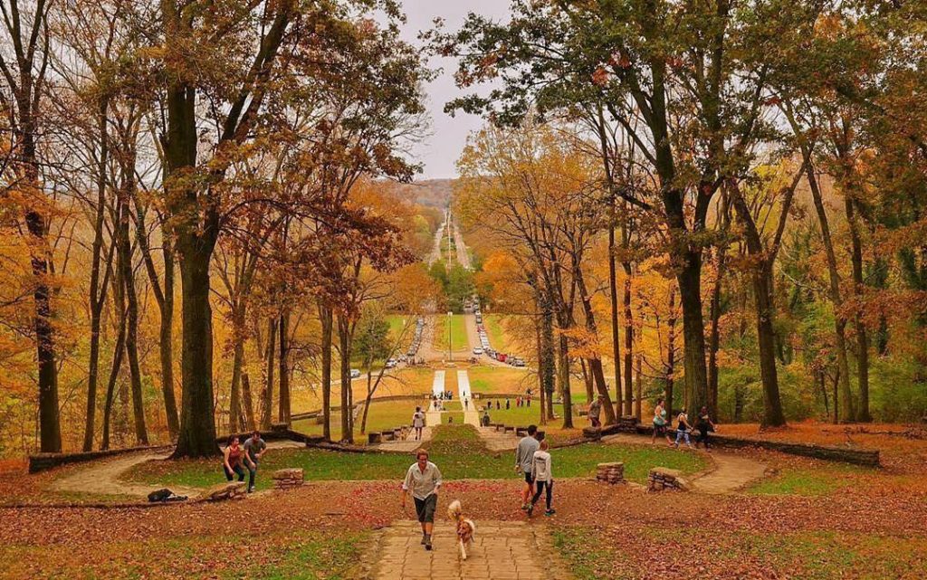 Things to do in Nashville with kids: Nashville foliage by Hseng01 on Instagram, via NashvilleTN