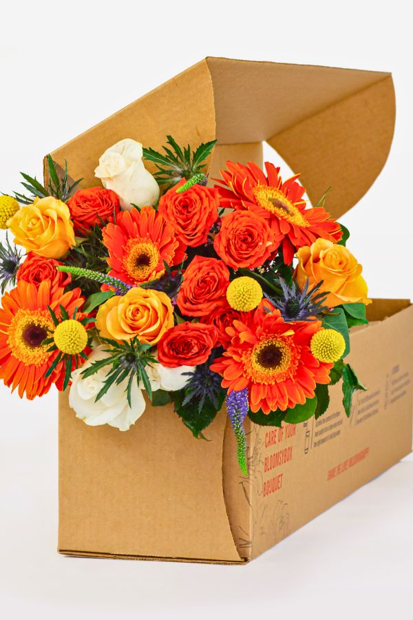 BloomsyBox Fresh Flower Bouquet