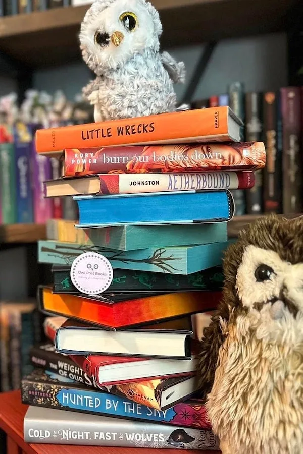 Bookish Wardrobe Subscription Box for Kids comes with a costume themed for each book!