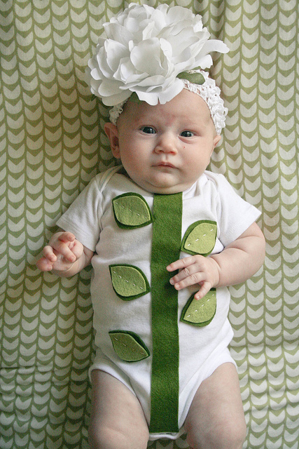 Easy baby Halloween costumes from onesies: Little Flower DIY by Your Wish Cake