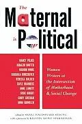 The Politics of Motherhood, Beyond the "Mommywars"