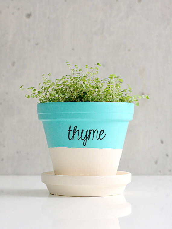 Herb labels - custom decals | Zesty Graphics on Etsy Herb labels - custom decals | Zesty Graphics on Etsy