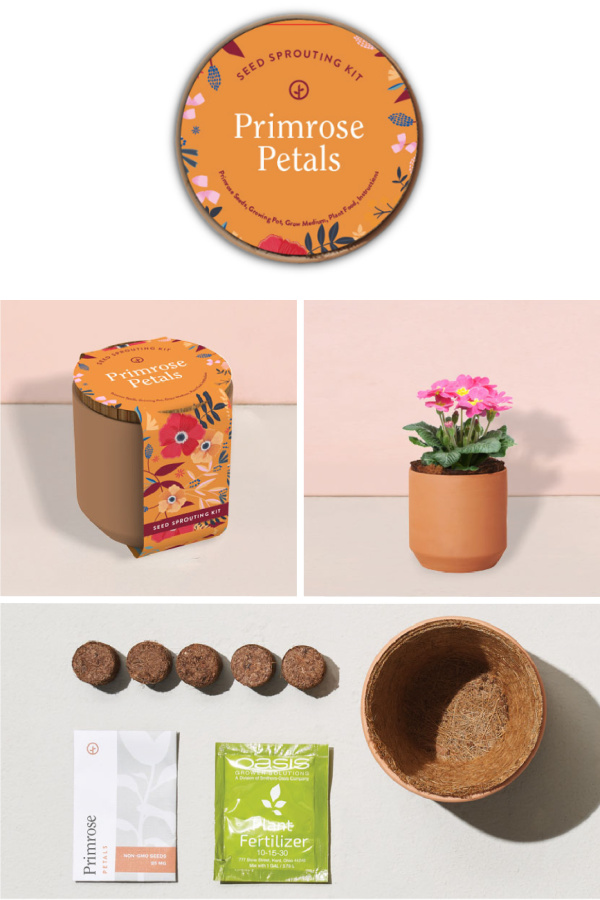 Last minute gifts for mom: Sugarwish now offers flowers, plants and succulent gifts and she gets to pick her own favorites! 