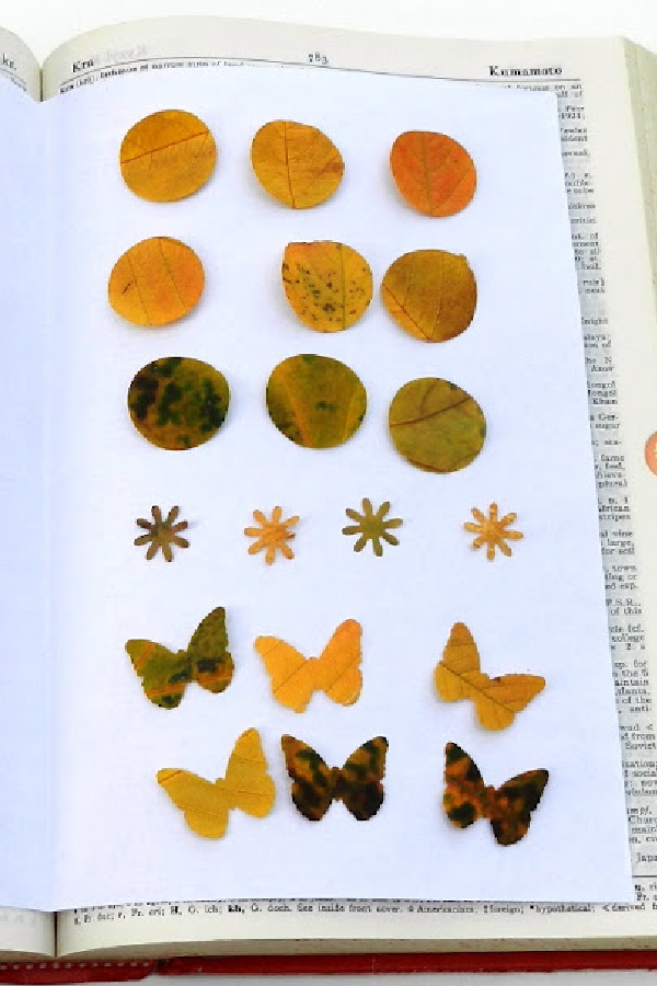 Paper Punch Leaf Craft diy for kids via Grow Creative